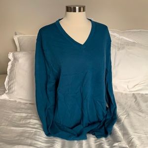 Express V-Neck Sweater
